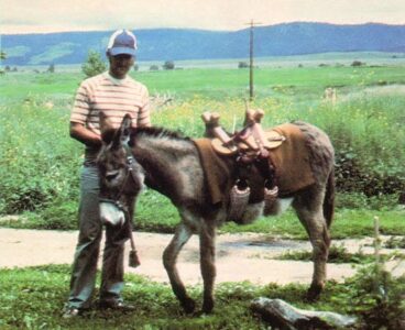 Why We Decided to Buy a Donkey Image